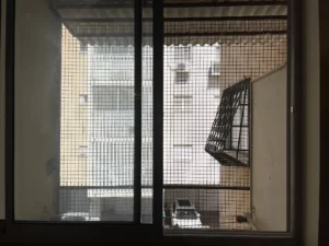 תמונה שממחישה את היתרונות של רשת נגד יונים וציפורים במרפסת