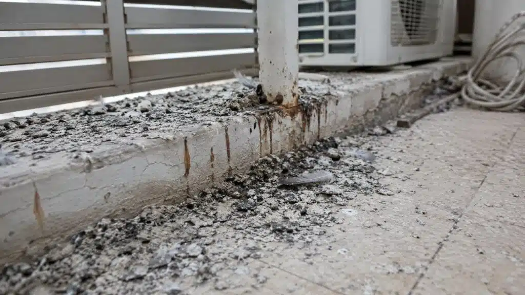 לשלשת יונים מיובשת שהצטברה על מעקה ורצפת מרפסת שירות